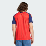 Maillot Domicile Espagne 26